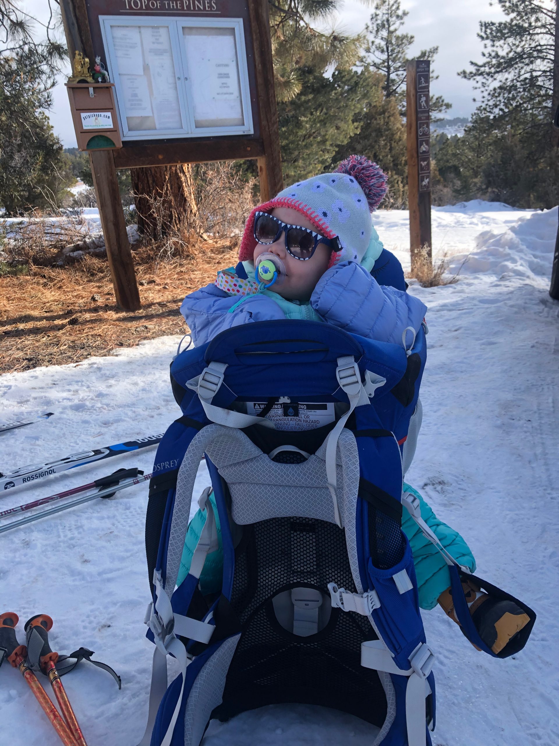 How to Snowshoe with a Toddler for Winter Family Fun Best Life Outside