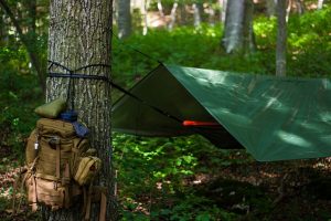 Tent using a tarp for a lightweight shelter