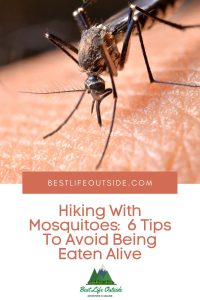 Hiking With Mosquitoes 6 Tips To Avoid Being Eaten Alive