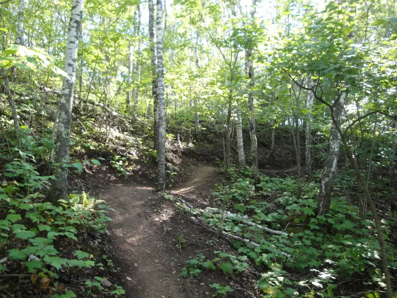 The 7 Best Hikes Near Duluth, Minnesota Best Life Outside