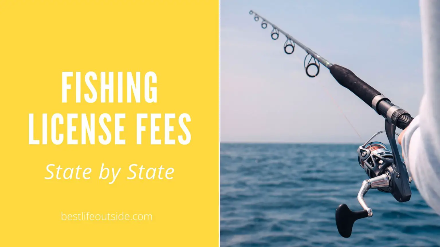 How Much Does a Fishing License Cost? A Helpful State By State Guide