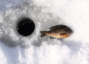 ice fishing hole