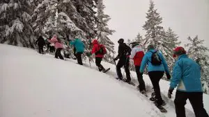 Group Snowshoeing