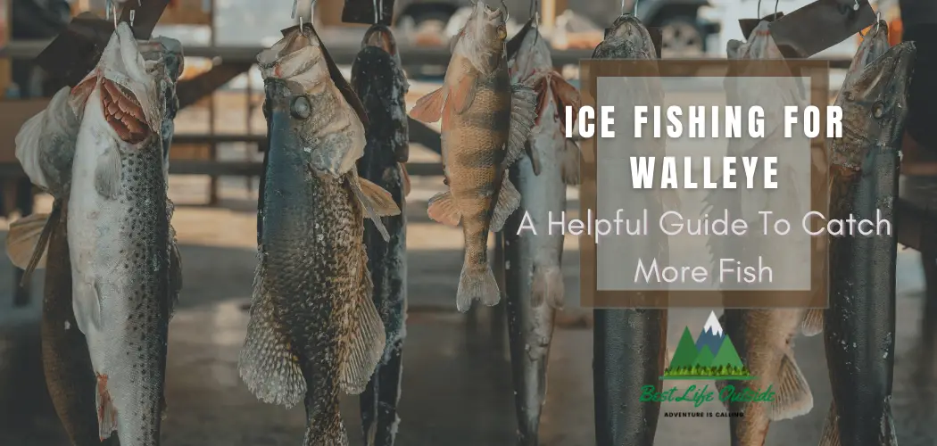 Ice Fishing For Walleye A Helpful Guide To Catch More Fish Best