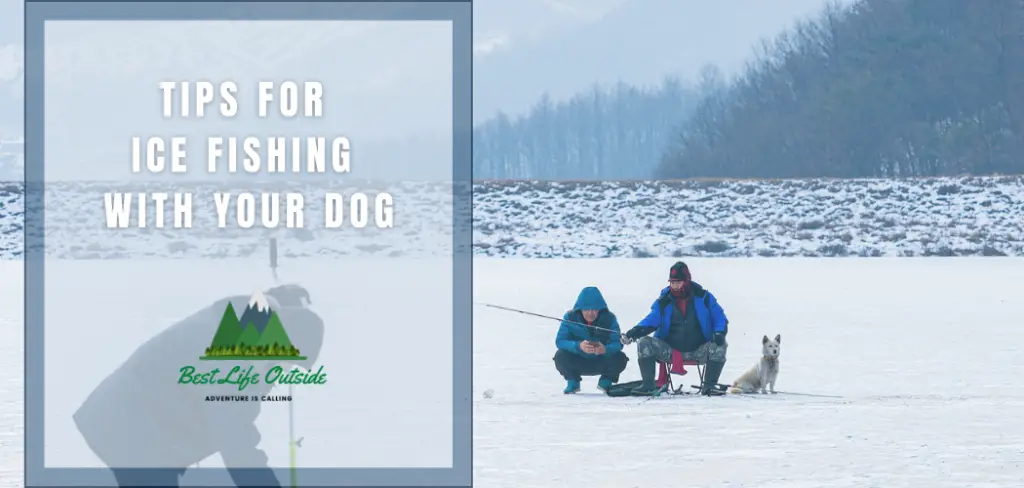 Ice fishing with your Dog