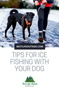 Ice fishing with your dog