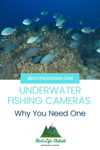 Is an Underwater Fishing Camera Worth It?