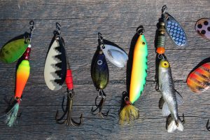 Fishing Lures or Live Bait?