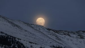 Try to plan your snowshoeing adventure on the night of a full moon for more visibility