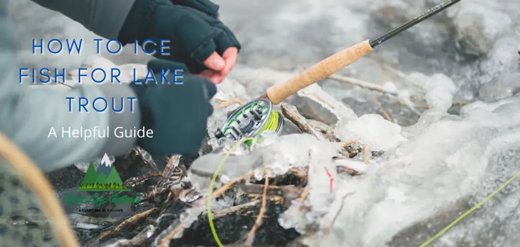 Ice Fishing For Lake Trout: A Helpful Guide
