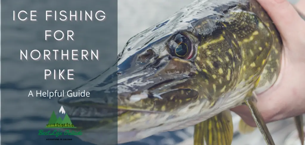 A guide to ice fishing for northern pike