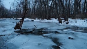 Avoid frozen water, it may be too thin for your dog to walk on