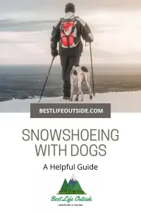 A Helpful Guide to Snowshoeing with Dogs